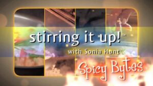 Spicy Bytes: About Our Show